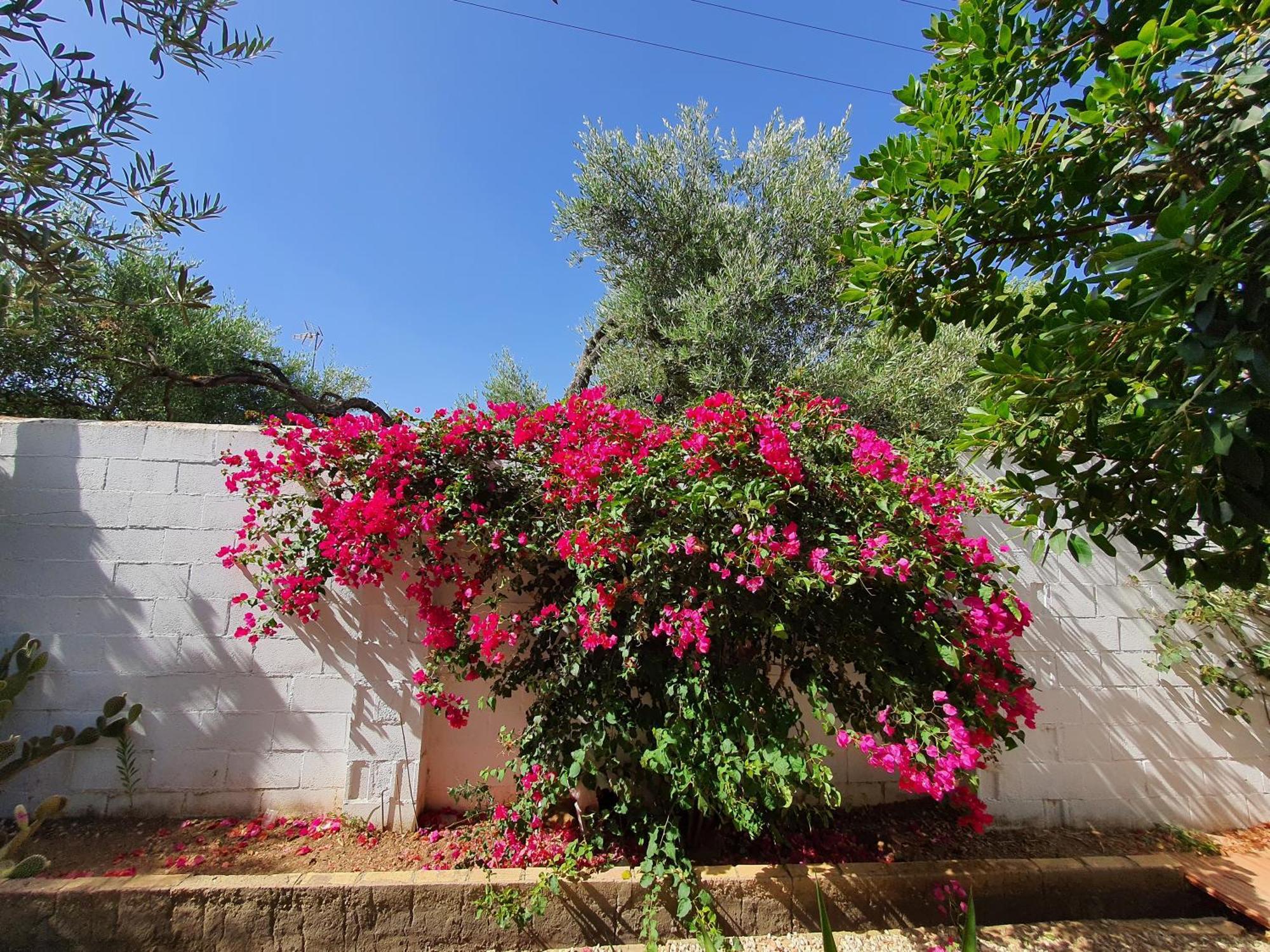Villaluna Marchena Dış mekan fotoğraf